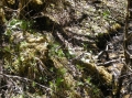 生境

摄影：唐霄铧

时间：2011.05.16

地点：四川红原刷经寺